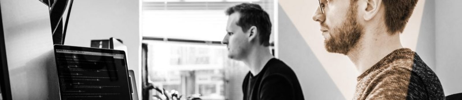 digital-support-assessor